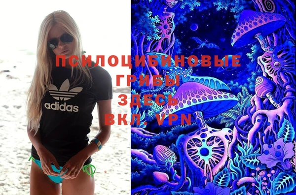 прущий лед Михайловск